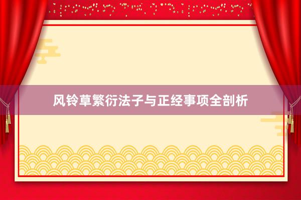 风铃草繁衍法子与正经事项全剖析