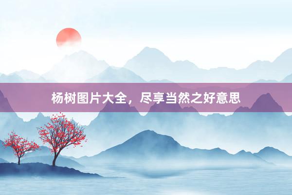 杨树图片大全，尽享当然之好意思