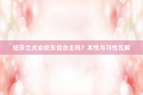 纽芬兰犬会咬东说念主吗？本性与习性瓦解